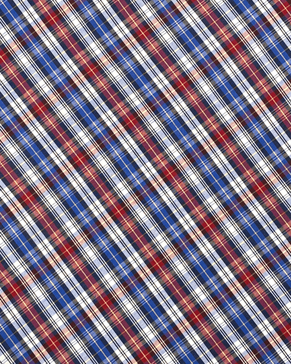 Red White Blue Check | Cotton Pinpoint